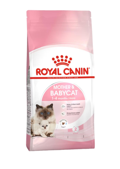 غذای خشک بچه گربه و مادر شیرده رویال کنین (Royal Canin Kitten & Mother Cat)