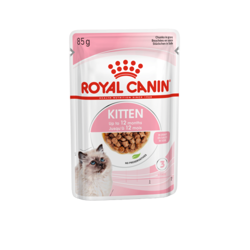 پوچ گربه رویال کنین مدل Kitten