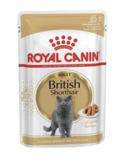 پوچ گربه رویال کنین  مدل British Shorthair